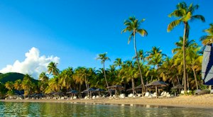 Spend your summer in this all-inclusive resort set on a bluff overlooking two beautiful beaches<place>Curtain Bluff</place><fomo>105</fomo>