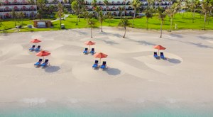 Enjoy a luxurious stay with an array of cuisines in the beautiful Dubai<place>JA Palm Tree Court</place><fomo>61</fomo>