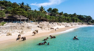 Enjoy the natural beauty of a remote Indonesian Island at this idyllic resort <place>NIHI Sumba</place><fomo>44</fomo>