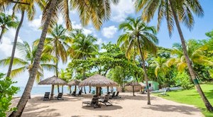 All-Inclusive savings for a summer 2024 holiday at this fabulous boutique resort<place>East Winds</place><fomo>30</fomo>